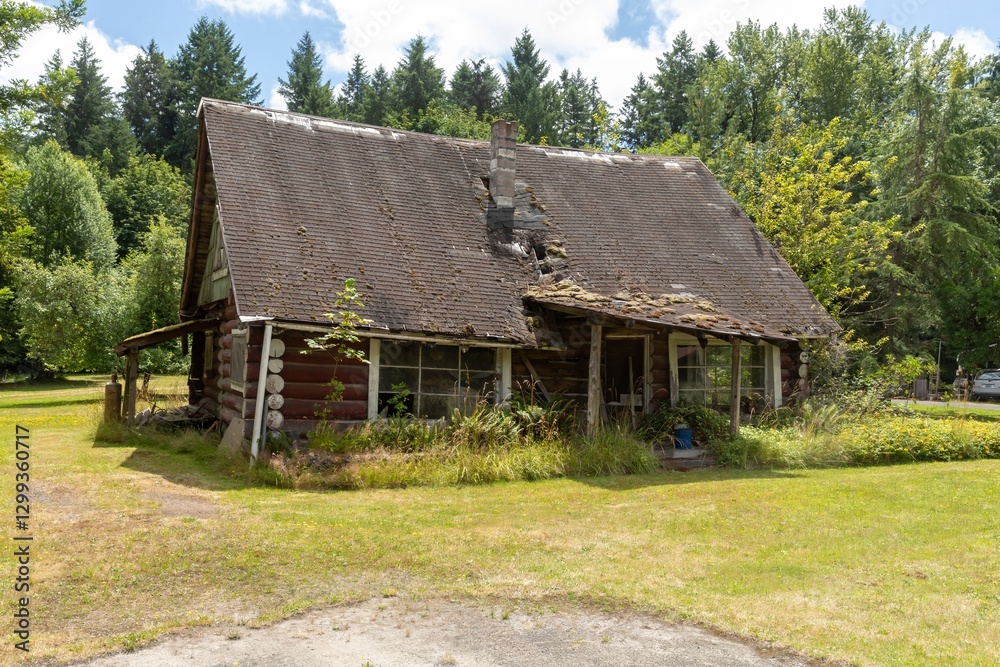Abandoned log cabin in overgrown yard. Nature reclaiming a weathered home. Decaying structure amidst lush greenery. , Toutle, Washington, USA Abandoned log cabin in overgrown yard. Nature reclaiming a weathered home. Decaying structure amidst lush greenery. , Toutle, Washington, USA
