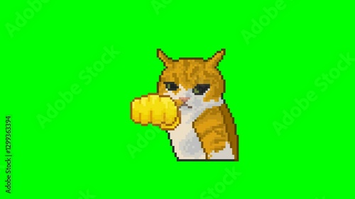 Cat punching, pixel art meme animation 