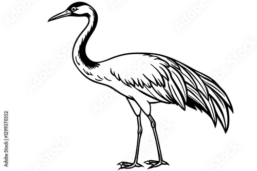 Stunning Sandhill Crane Vector Art. Graceful Bird Illustration