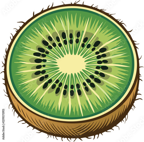 Kiwi vector 