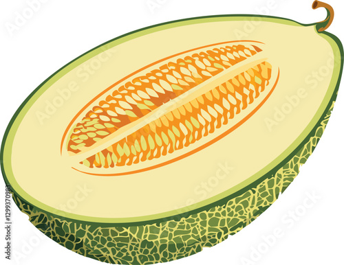 yellow melon isolated on white background