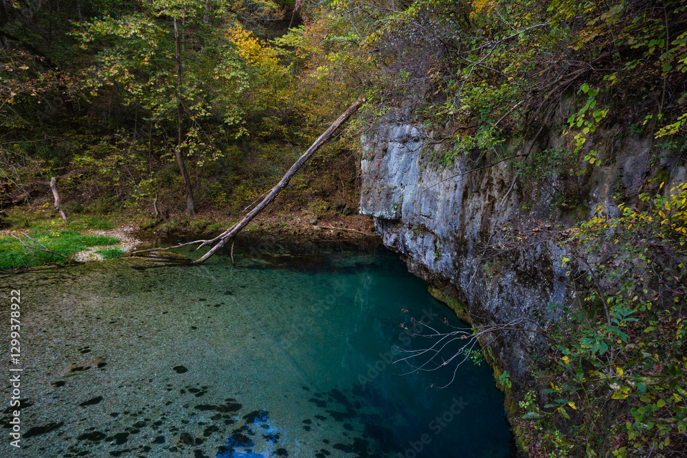 A spring in the Missouri Ozarks. A spring in the Missouri Ozarks.