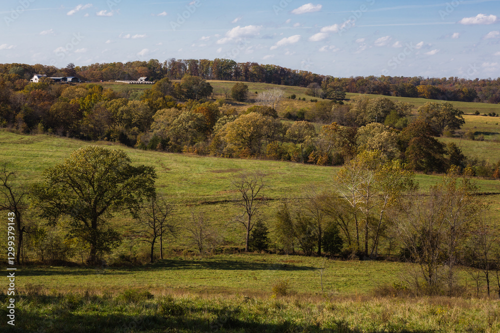 Fall colors in the trees, in the Missouri Ozarks. Fall colors in the trees, in the Missouri Ozarks.