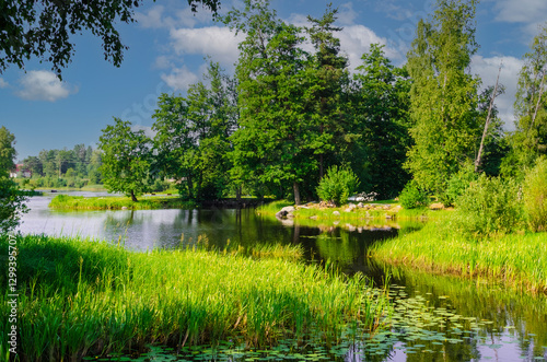 lake in summer forest with green three 
