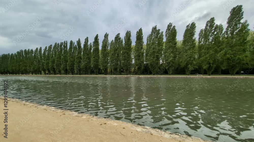 Les silhouettes des arbres se reflètent dans les eaux calmes d’un canal.