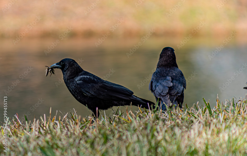 Obraz premium E79A8030-Enhanced-NR.dng