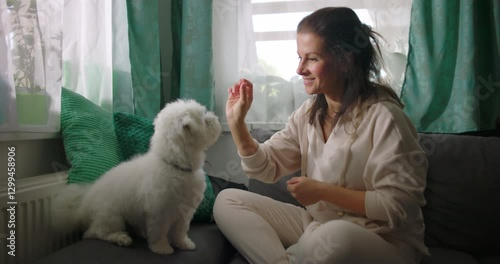 Woman interacting with small white dog on couch indoors, playfully feeding treat in cozy home setting, surrounded by cushions and bright windows