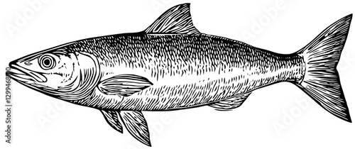 Illustration of a fish swimming gracefully in a clear water environment, showcasing fine details and textures