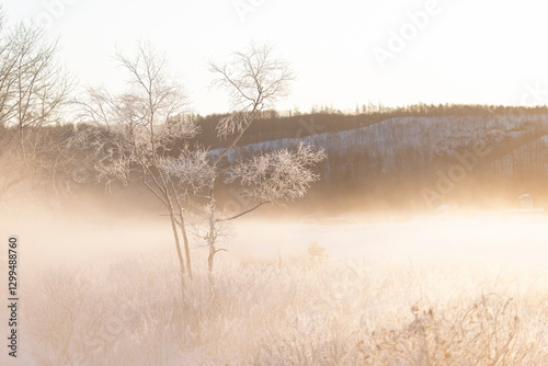 Wallpaper Mural 霧氷と気嵐 Torontodigital.ca