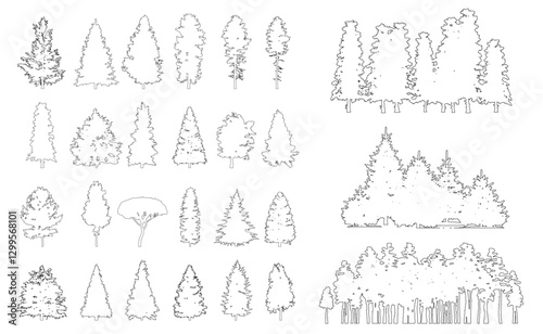 Set of contour spruce and pine trees on a white background
