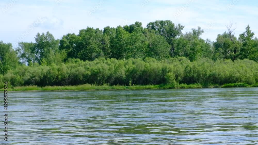 Hot sunny summer day by the river. Calming and relaxing. Light breeze wind in beautiful trees at sunny day. Hot sunny summer day by the river. Calming and relaxing. Light breeze wind in beautiful trees at sunny day.