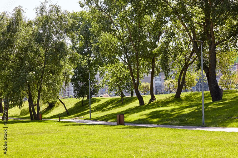 Obraz premium Walkway surrounded by trees and lawns in Kyiv, Europe. Recreation place in the city park