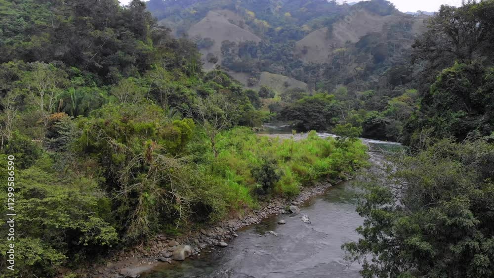 The Fresh Mountain River is flowing through a Lush tropical Forest at Sunset in San Luis Potosi, Mexico. Jungle Aerial The Fresh Mountain River is flowing through a Lush tropical Forest at Sunset in San Luis Potosi, Mexico. Jungle Aerial