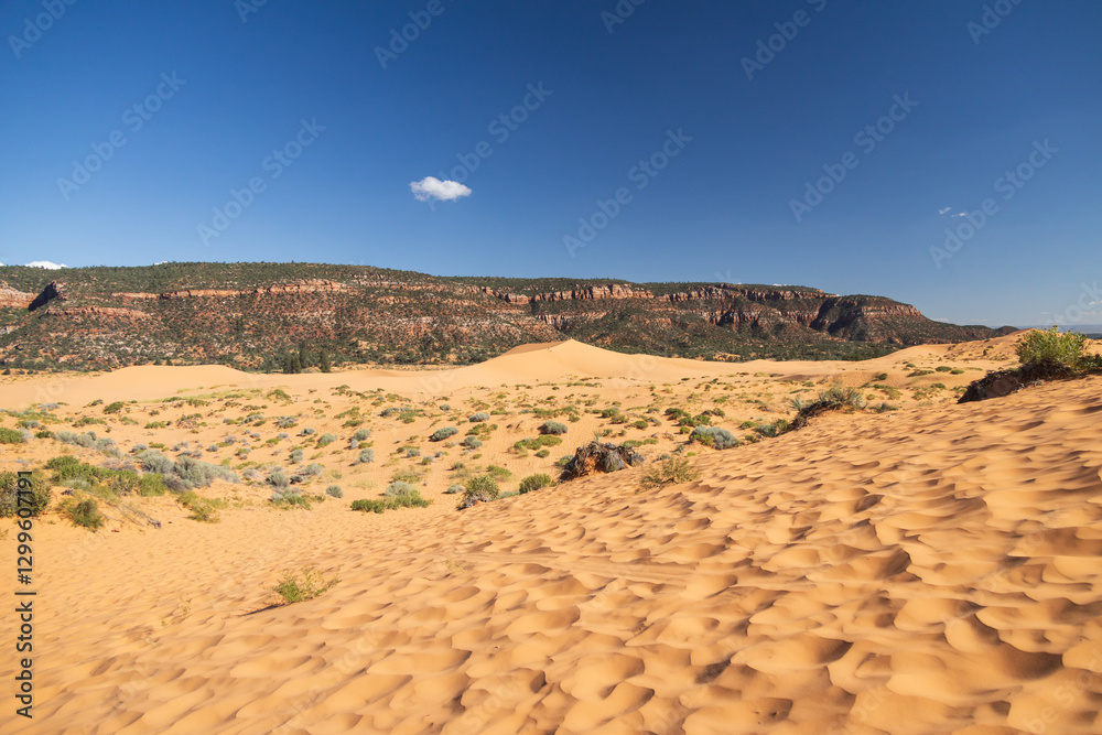 Coral Pink Sand Dunes state park, Utah Coral Pink Sand Dunes state park, Utah