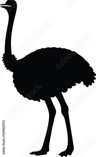 Silhouette of an Ostrich – Elegant Outline of Nature's Fastest Running Bird in Black and White vector isolated on white background. 
