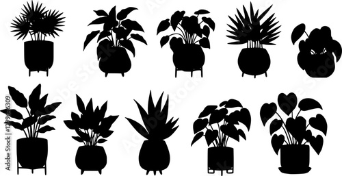 set of houseplants in flowerpots in doodle style vector
