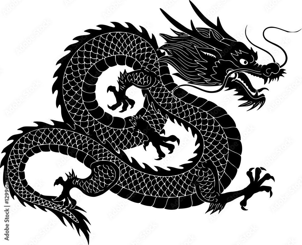 Chinese dragon silhouette on white background, vector
Chinese dragon silhouette on white background, vector