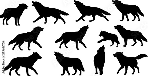 wolves in different poses collection, set silhouette on white background vector
