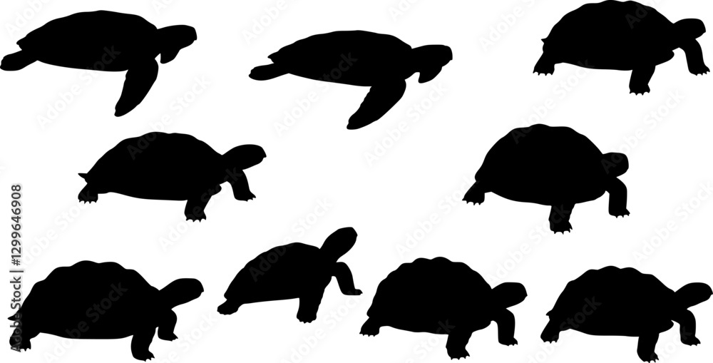 Obraz premium turtles in different poses silhouette set vector