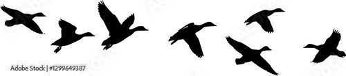 flock of flying ducks silhouette, isolated vector
