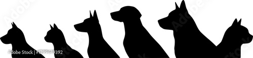 cats and dogs sitting silhouette isolated vector
