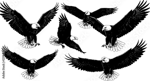 set of silhouettes eagles flying, icons
