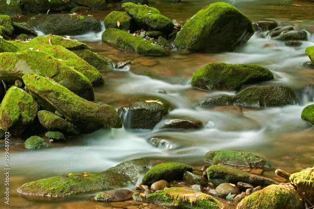 Cosby Creek, Great Smoky Mountains National Park Cosby Creek, Great Smoky Mountains National Park