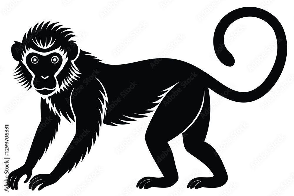 Obraz premium Monkey animal Silhouette isolated on white background