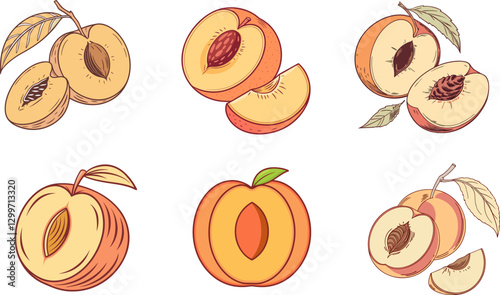Set of Peach Illustrations Clipart Collection. Unique Fruit Vector Illustrations.