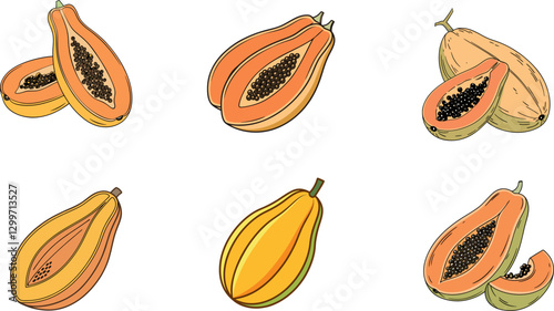 Set of Papaya Illustrations Clipart Collection. Unique Fruit Vector Illustrations.