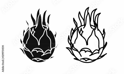 Vector illustration of dragon fruit in outline and silhouette style. Perfect for food, tropical, botanical, organic, and healthy lifestyle-themed designs