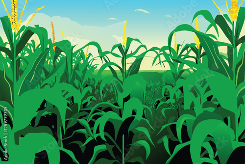 A photograph of a dense cornfield at its peak, showcasing tall, vibrant green stalks and the beginnings of golden-yellow ears of corn ripening in the summer sun.