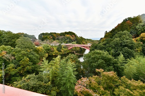 大阪の信貴山朝護孫子寺の虎と寺