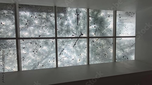 Textured Glass Panel Wall with Backlighting