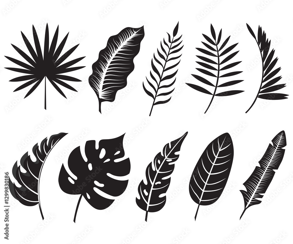 Obraz premium Tropical leaves realistic leaf silhouette collection