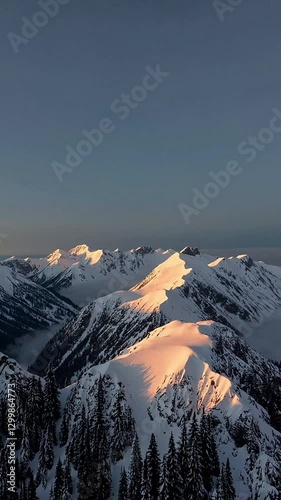 Wide shot of Snow covered mountain peaks glowing under a soft golden sunrise, pine trees blanketed in white and misty valleys. Calm and serene for nature enthusiasts. Vertical video backgrounds
