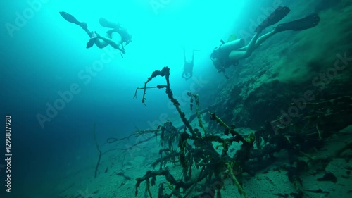 Wallpaper Mural Scuba diving Barracuda lake limestone rocks in Philippines. tourism destination for snorkeling and scuba diving in Coron, Palawan. 
 Torontodigital.ca