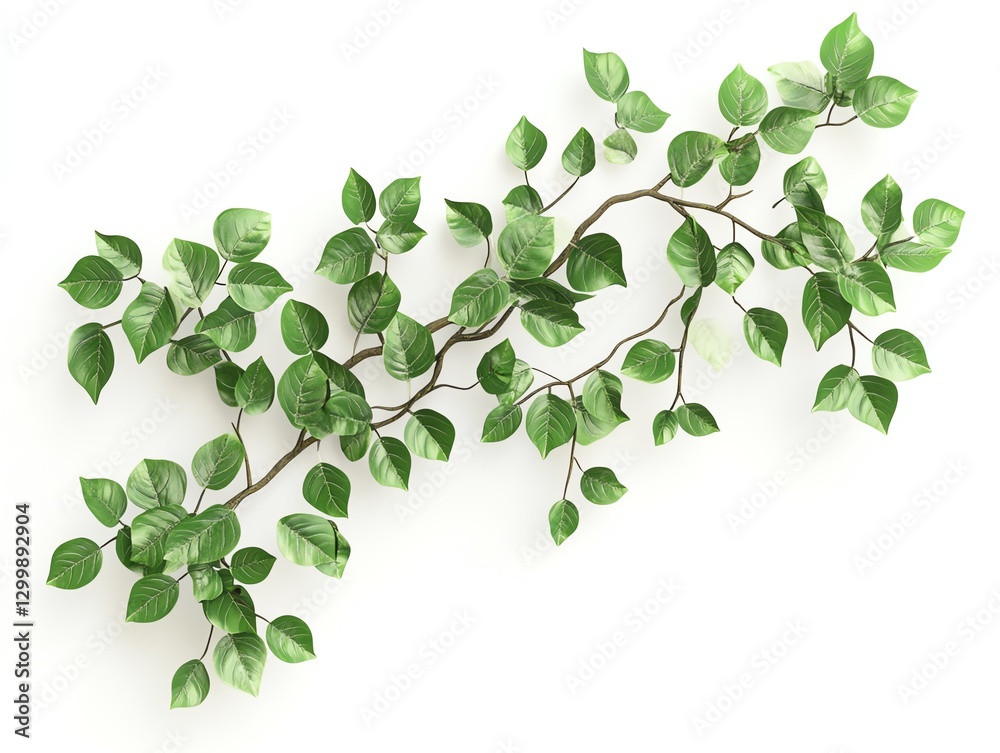 Fototapeta premium Mature tree branch covered in vibrant green leaves, extending against a stark isolated white background, ultrarealistic detail, highdefinition clarity