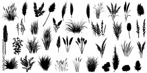Silhouettes of Wild Grass Tufts Isolated for a Dynamic Design Element and Versatile Backgrounds