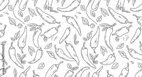 Hand Drawn Chili Pepper Seamless Pattern Design Spicy Food Illustration Culinary Background