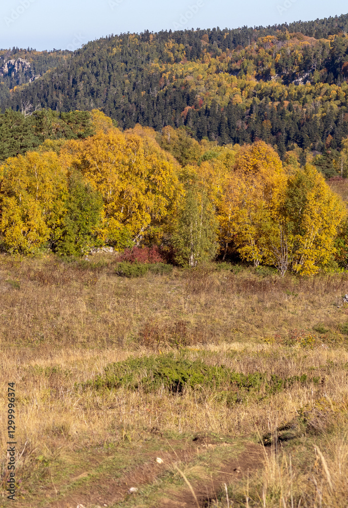 autumn, the morning light of the rising sun illuminates the alpine meadows and the slopes of the mountain range autumn, the morning light of the rising sun illuminates the alpine meadows and the slopes of the mountain range