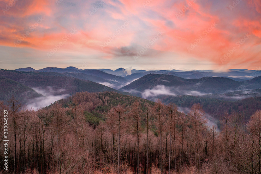Landscape shot, cloudy sky and fog in the valley. View from a rock in the middle of the forest and nature. Viewpoint in the morning in the Palatinate Forest, Germany Landscape shot, cloudy sky and fog in the valley. View from a rock in the middle of the forest and nature. Viewpoint in the morning in the Palatinate Forest, Germany