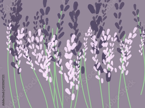 lavender flowers background