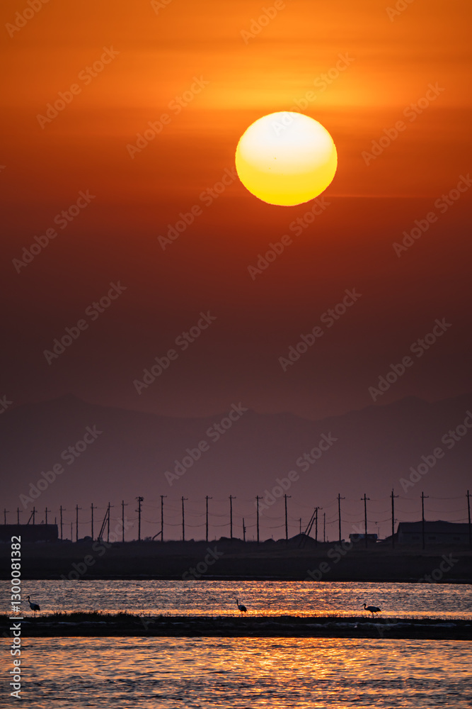 Φωτογραφία 海岸にて夕方の沈み掛ける太陽のオレンジ色のグラデーション、海岸沿いの海面が輝き遠くには電柱と建物で近くには３羽の鳥のシルエット。太陽が右側上部で中央に建物で下部