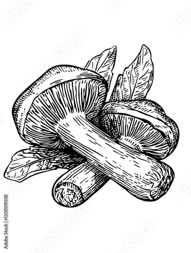 Detailed drawing of mushrooms with leaves highlighting their natural textures and shapes