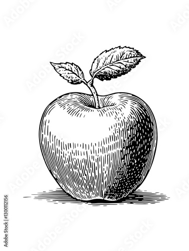 Detailed sketch of an apple with a leaf showcasing its natural form and texture
