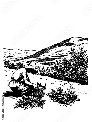 Worker harvesting crops in a rural landscape during daytime hours