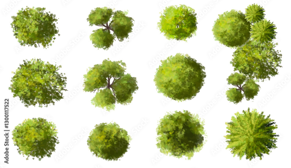 Vector watercolor green tree or forest top view isolated on white background for landscape plan and architecture drawing,plant for environment or garden,botanical element for exterior layout