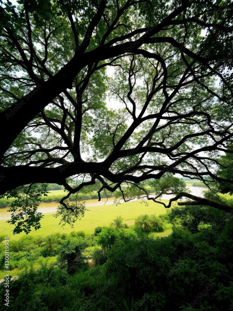 Vast Tree Canopy Overlooking a Tranquil Riverbank Vast Tree Canopy Overlooking a Tranquil Riverbank