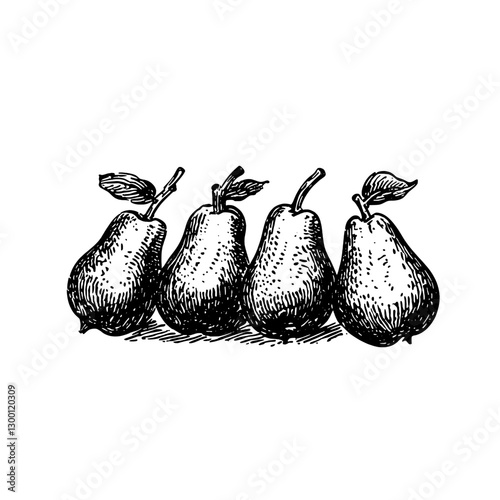 Group of four pears illustrated in a rustic style on a simple background
